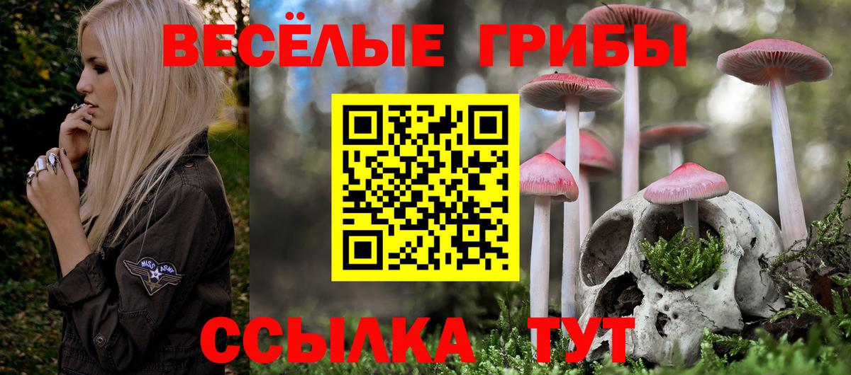 Псилоцибиновые грибы Cubensis  Псилоцибиновые грибы прущие грибы  Вход с VPN  Дедовск 